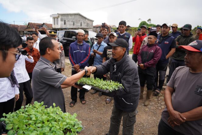 
					Pemprov Sulsel Pilih Gowa Perkuat Komoditas Kentang, Serahkan 175 ribu Benih Stek