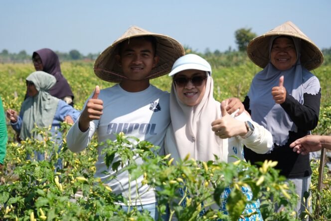 
					Bersama Ratusan Warga, Husniah Talenrang Gelar Panen Padi dan Palawija di Bontonompo